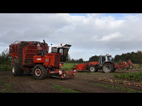 Massey Ferguson 3125 + Gilles rooier & Dewulf R7000T - Loonw. Baute - bieten rooien