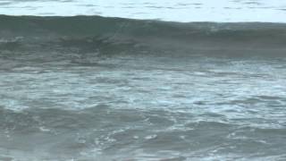 preview picture of video 'Тайфун «Halong» обошёл пляжи  Ливадии стороной 11.08.2014'