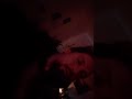 DOPE ASS FUCK