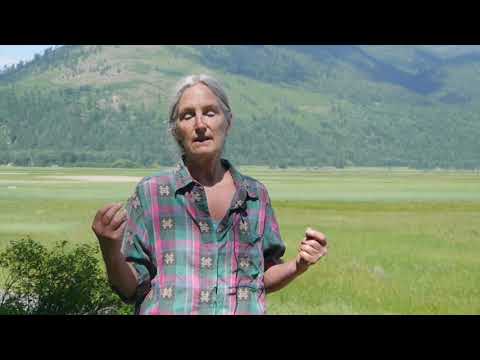 Debby Ackley describes seeing a caribou on her hike to Two Mouth Lakes