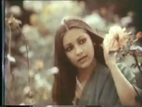 1982: Sunsilk Shampoo