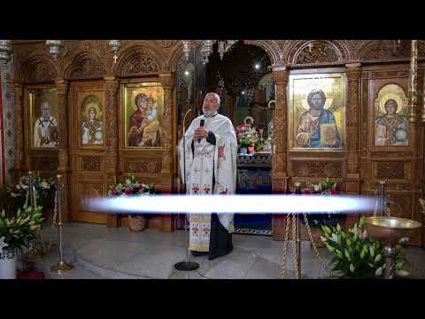 Duminica a 12-a după Rusalii, Ev. Tânărului bogat -  predica Pr. Dinu Pompiliu (27 august 2023)