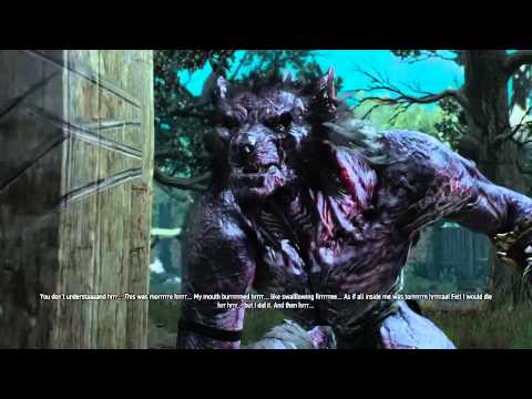 The Witcher 3: Wild Hunt Playthrough pt. 95 - In Wolf's Clothing
