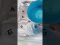 Floating Letters Science Experiment For Kids Shorts