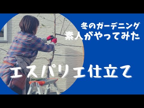 独自のリンゴリングの作成: オプションの概要 植物