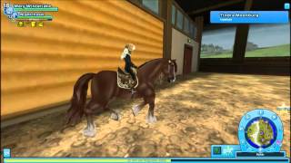 Star Stable Online: Fails and Bugs