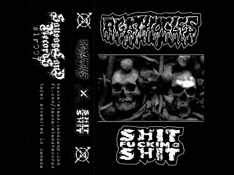 AGATHOCLES / Tracks from split tape with ShitF***ingShit (2019)