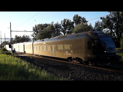 Stadler Flirt Leo Express LE413 jede do Polska (Petrovice 5.7.2020)