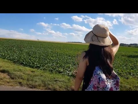 [Reise mit Suyeon_Würzburg]5번 트램 끝엔 뭐가 있을까?