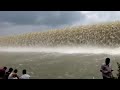 Sukwa Dhukwan Dam Recorded By ANSHUL GUPTA