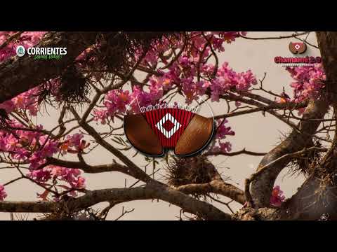A mi Corrientes Porã. Damasio Esquivel. Chamamé 2.0