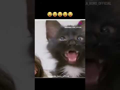 ##🤫🤫💯💯💯##sushil