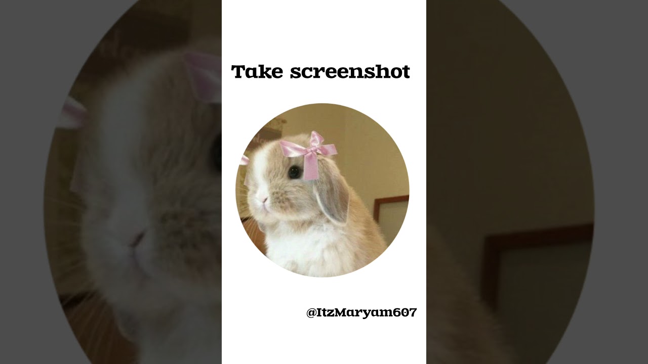 Here are some aesthetic pfps for you pt.7 (Rabbit ver) #ItzMaryam607 #aesthetic #rabbit #pfp #shorts