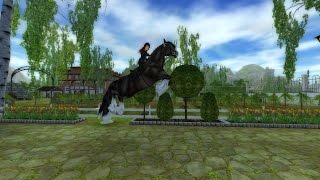 -star stable- Buying a Shire!!