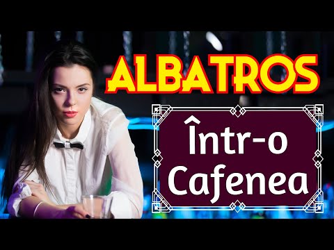 Formația Albatros - Într-o cafenea - Muzică Românească Veche - Hiturile Anilor 90 - Amintiri