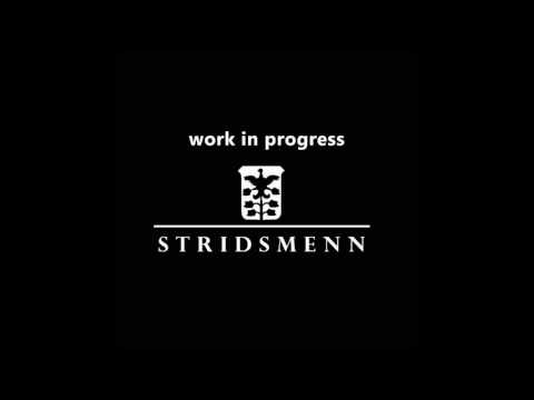 Stridsmenn - Untitled (work in progress song)