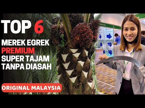 6 BRANDS OF THE SHARPEST PALM EGREK WITHOUT SHARPENING, PREMIUM QUALITY