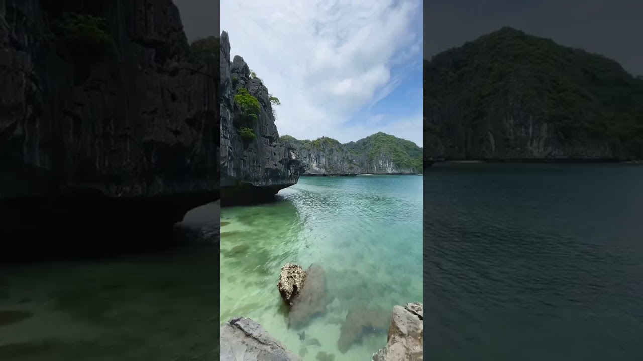 YouTube Short thumbnail