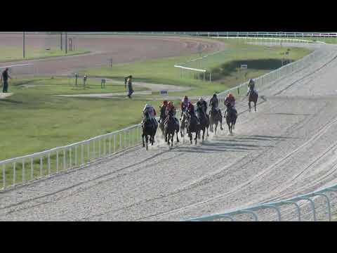 2019.09.15. 07. futam - DANCING CANDLE HENDIKEP (V/b.) (szintetikus pálya)