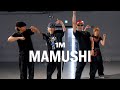 Mamushi Master Class TEAM SAME