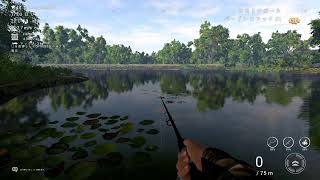 fishing planet　のんびりダラダラ
