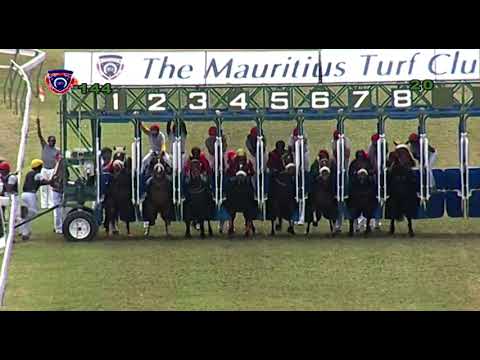 RM14 R4 | Dynamite Jack | D.David