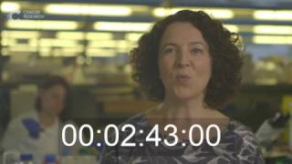 Online course trailer