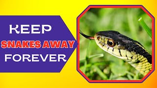 What Can You Put In Your Yard To Keep Snakes Away? Simple Solutions