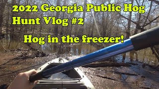 2022 Georgia Public Land Hog Hunt Vlog 2 Second Pig Of The Season