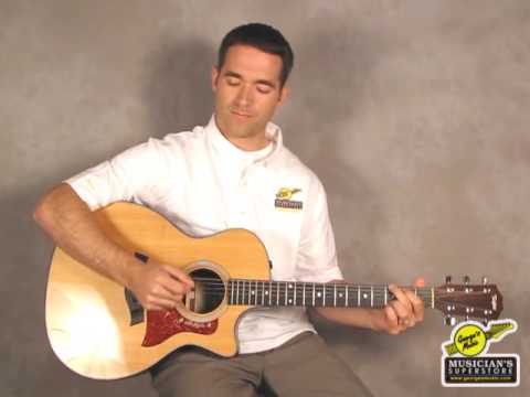 Add Percussion to Your Guitar Playing with a Shaker - George's Music