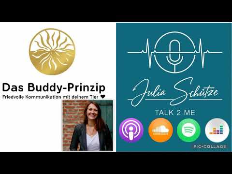 Pferde-/ Tierkommunikation nach dem BUDDY PRINZIP; #Talk2Me 153/2