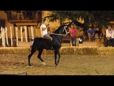 Francesco Landini a Godrano