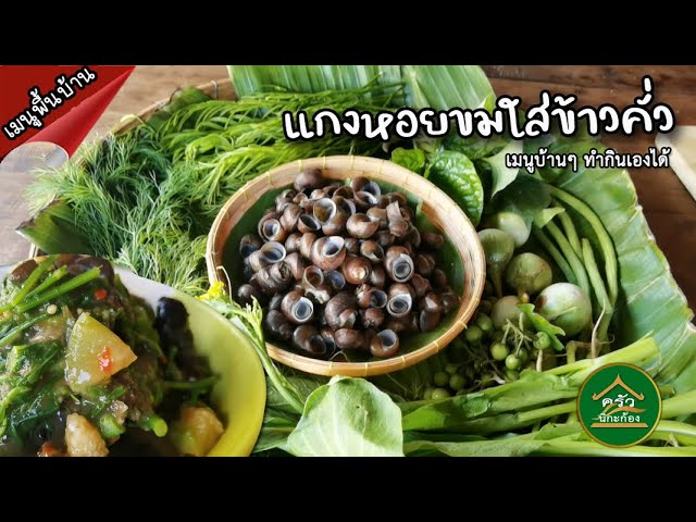 วิธีทำแกงหอยขมใส่ข้าวคั่ว ใบชะพลู สมุนไพร แซ่บมาก | Thai Curry Freshwater Snail |ครัวนิกะก้อง