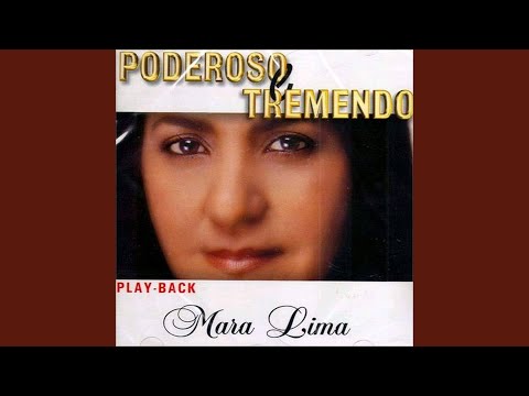 Mãos Sagradas (Playback)