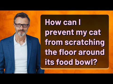 How can I prevent my cat from scratching the floor around its food bowl?
