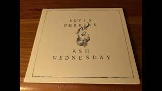 Elvis Perkins - While you were Sleeping