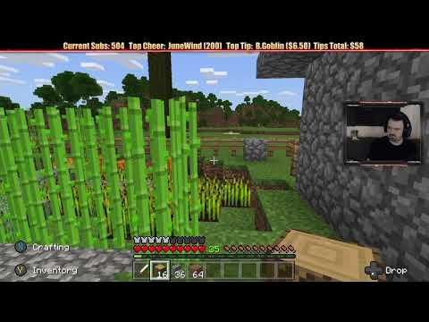 Minecraft "Chill Stream" Feb. 21, 2019 pt2 - Expansion Completion, House Tour and Flowers