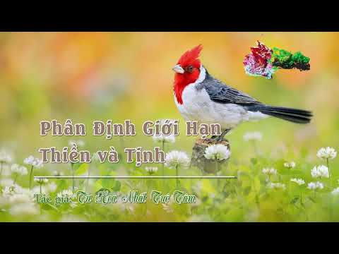 Chương 05: Phân Định Giới Hạn Thiền và Tịnh