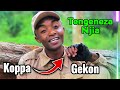 Koppa Gekon TENGENEZA NJIA SMS SKIZA 69812478 TO 811