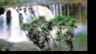 Africa Musing,CD Dennis Day-All Things in Time