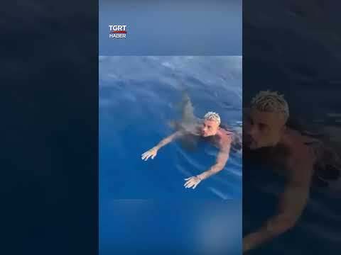 A Shark Passed Underneath While Swimming in the Sea. Terrifying Moment - TGRT News