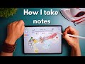 The Ultimate Mind Map Tutorial (How To Take Notes)