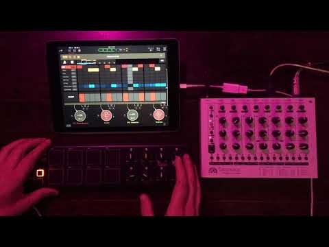 Going Analogue! - iPad AUv3 MIDI Drum Sequencer App Octachron jamming with MFB Tanzmaus and friends