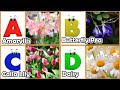 Flowers Alphabet Song Flowers ABC Song A To Z Flowers Names Phonics For Kids