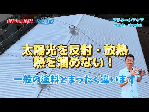 動画のサムネイル