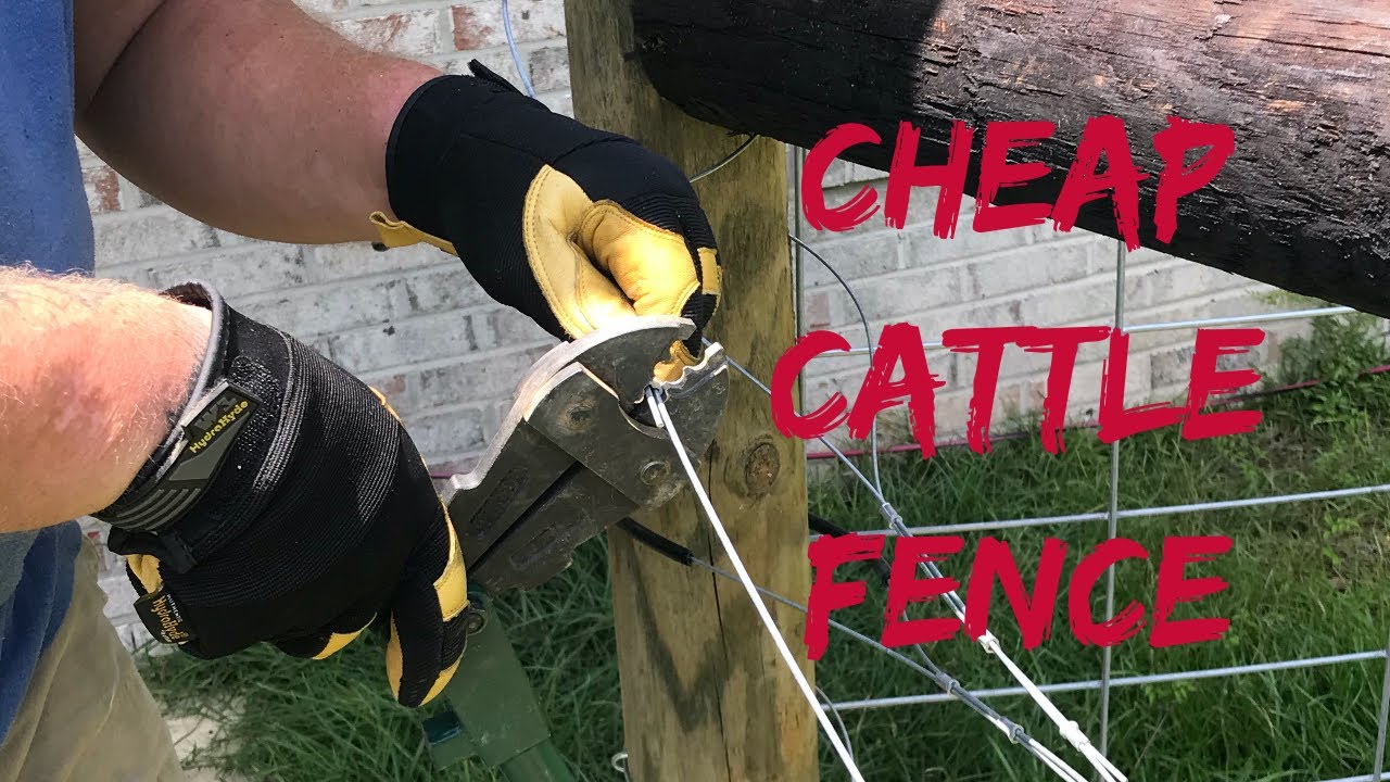 High Tensile Fence 201: Cheap Goat, Cattle, Pig, and Sheep Fencing.