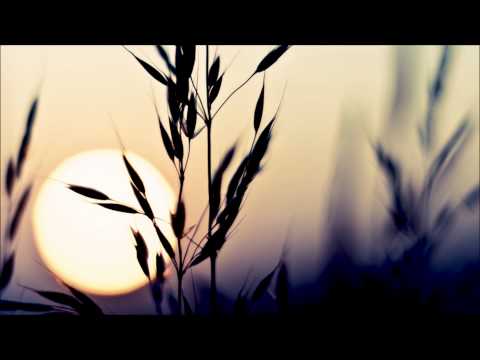 Nature Soul - The Horizon (Francois Dubois remix)