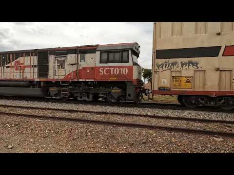 CF4431 & SCT010 Condobolin NSW.  Wed 15th Jan 2025