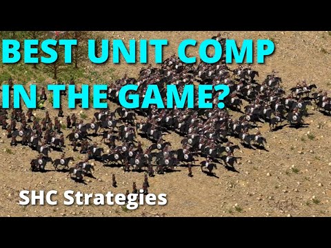 HORSE ARCHER ASSASSIN, SHC Strategies