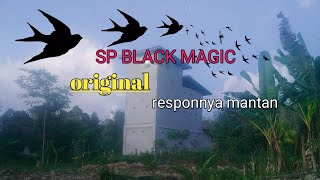 Download lagu suara panggil walet original sp black magic respon... mp3